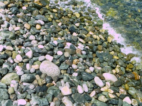 20110728-104312.jpg