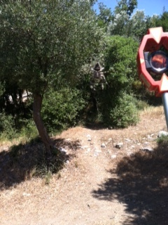 Super Samothracian spider encountered by the survey team with the surveying rod as scale.
