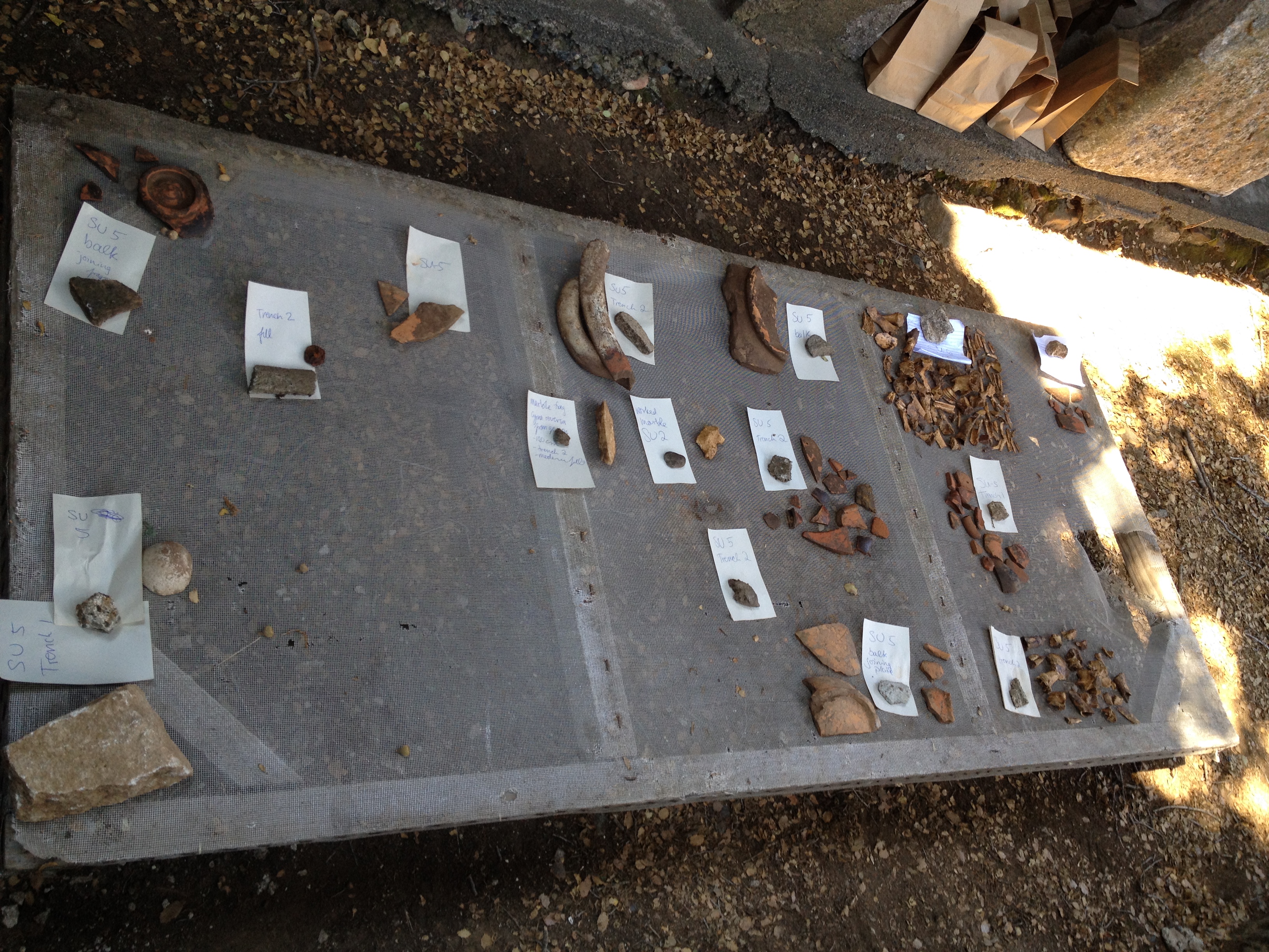 Finds laying out to dry after washing.