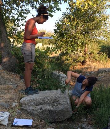 Report on Summer 2016 Stoa Work